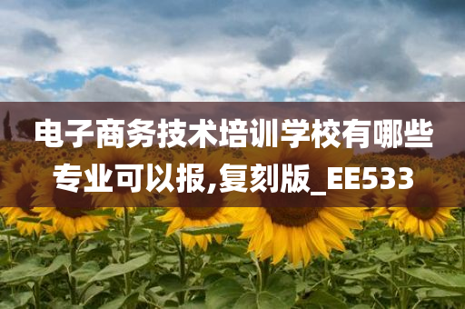 电子商务技术培训学校有哪些专业可以报,复刻版_EE533