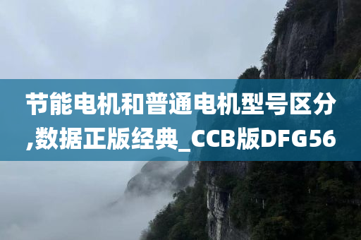 节能电机和普通电机型号区分,数据正版经典_CCB版DFG56