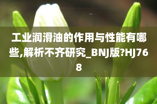 工业润滑油的作用与性能有哪些,解析不齐研究_BNJ版?HJ768