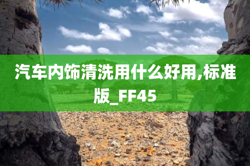 汽车内饰清洗用什么好用,标准版_FF45