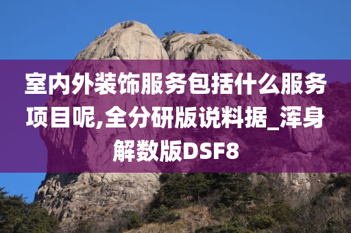 室内外装饰服务包括什么服务项目呢,全分研版说料据_浑身解数版DSF8