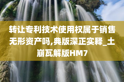 转让专利技术使用权属于销售无形资产吗,典版深正实释_土崩瓦解版HM7