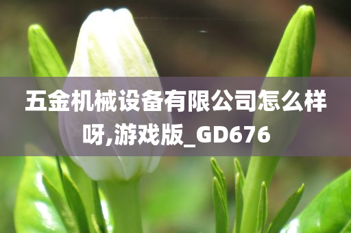 五金机械设备有限公司怎么样呀,游戏版_GD676