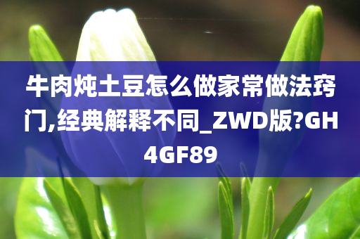 牛肉炖土豆怎么做家常做法窍门,经典解释不同_ZWD版?GH4GF89