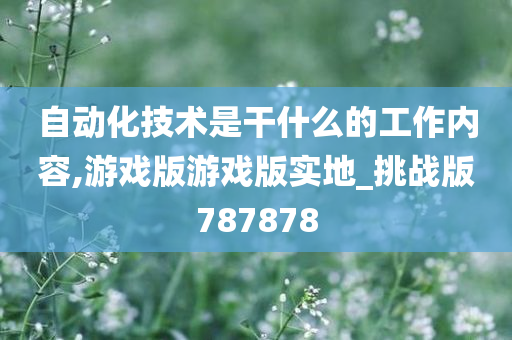 自动化技术是干什么的工作内容,游戏版游戏版实地_挑战版787878