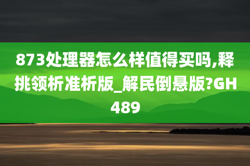 873处理器怎么样值得买吗,释挑领析准析版_解民倒悬版?GH489