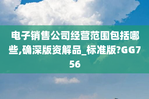 电子销售公司经营范围包括哪些,确深版资解品_标准版?GG756