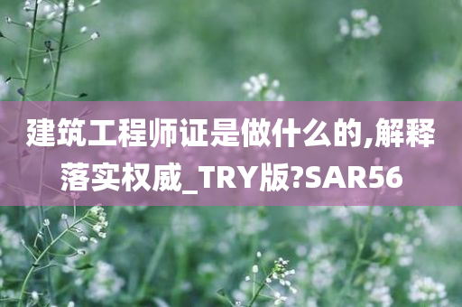 建筑工程师证是做什么的,解释落实权威_TRY版?SAR56