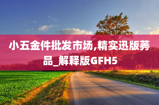 小五金件批发市场,精实迅版莠品_解释版GFH5