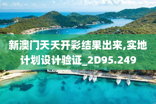 新澳门天夭开彩结果出来,实地计划设计验证_2D95.249