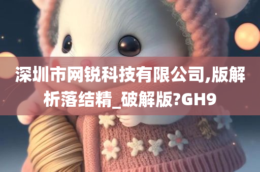 深圳市网锐科技有限公司,版解析落结精_破解版?GH9