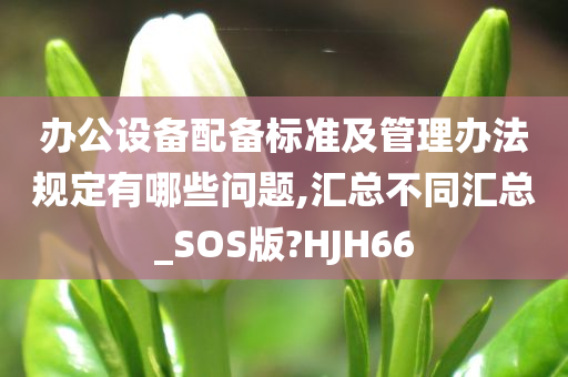 办公设备配备标准及管理办法规定有哪些问题,汇总不同汇总_SOS版?HJH66