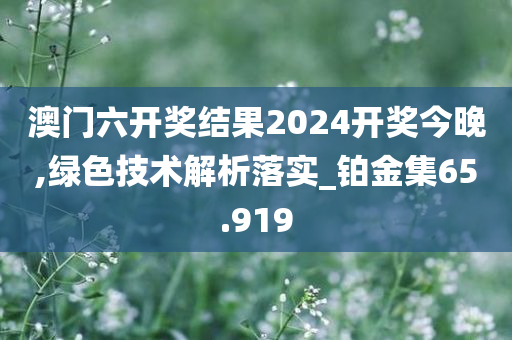 澳门六开奖结果2024开奖今晚,绿色技术解析落实_铂金集65.919