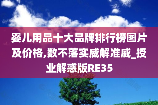 婴儿用品十大品牌排行榜图片及价格,数不落实威解准威_授业解惑版RE35