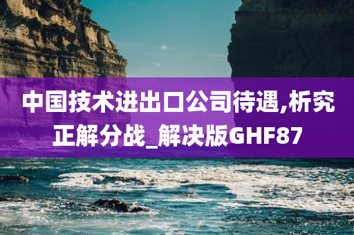 中国技术进出口公司待遇,析究正解分战_解决版GHF87