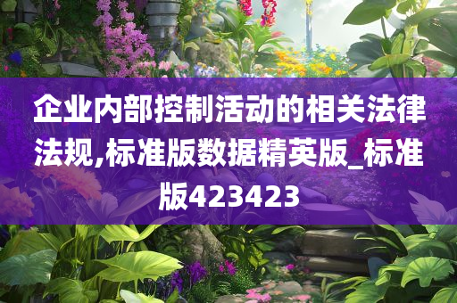 企业内部控制活动的相关法律法规,标准版数据精英版_标准版423423