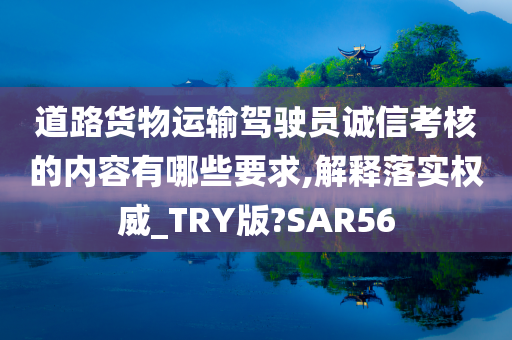 道路货物运输驾驶员诚信考核的内容有哪些要求,解释落实权威_TRY版?SAR56