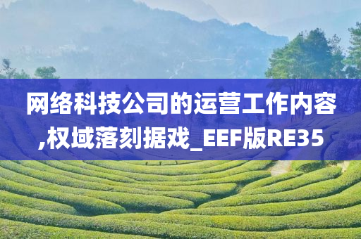 网络科技公司的运营工作内容,权域落刻据戏_EEF版RE35