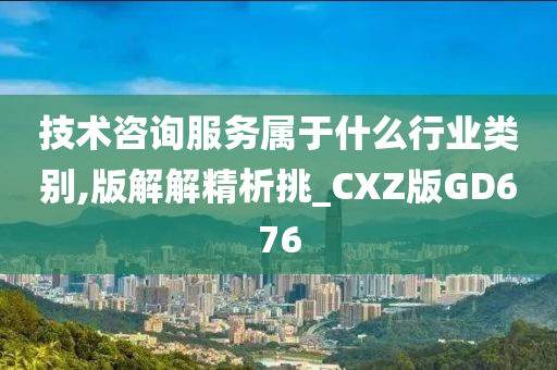 技术咨询服务属于什么行业类别,版解解精析挑_CXZ版GD676