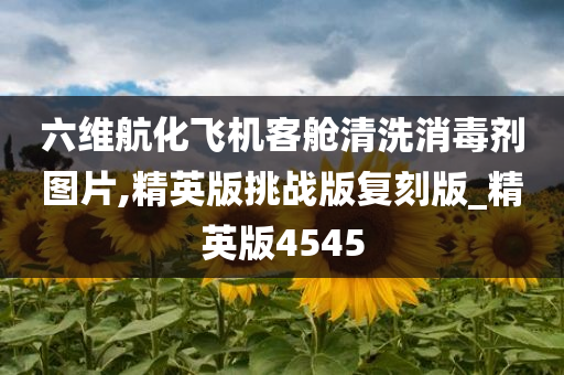 六维航化飞机客舱清洗消毒剂图片,精英版挑战版复刻版_精英版4545