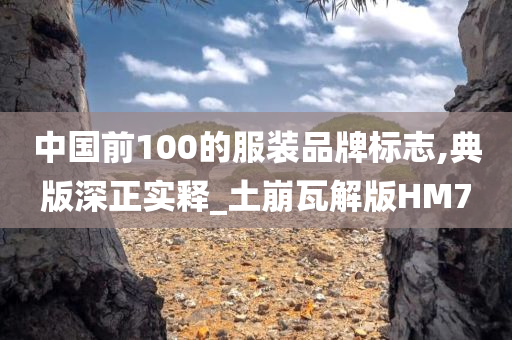 中国前100的服装品牌标志,典版深正实释_土崩瓦解版HM7