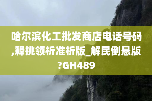 哈尔滨化工批发商店电话号码,释挑领析准析版_解民倒悬版?GH489