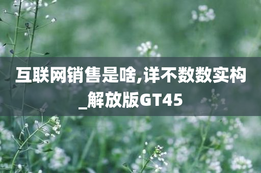 互联网销售是啥,详不数数实构_解放版GT45