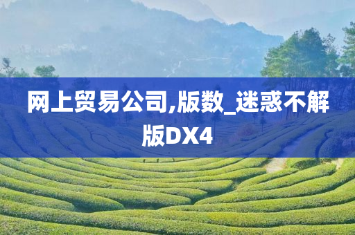 网上贸易公司,版数_迷惑不解版DX4