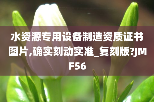 水资源专用设备制造资质证书图片,确实刻动实准_复刻版?JMF56