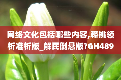 网络文化包括哪些内容,释挑领析准析版_解民倒悬版?GH489