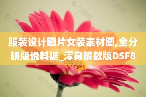 服装设计图片女装素材图,全分研版说料据_浑身解数版DSF8