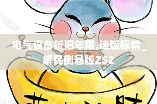 电气设备折旧年限,速版标精_解民倒悬版ZS2