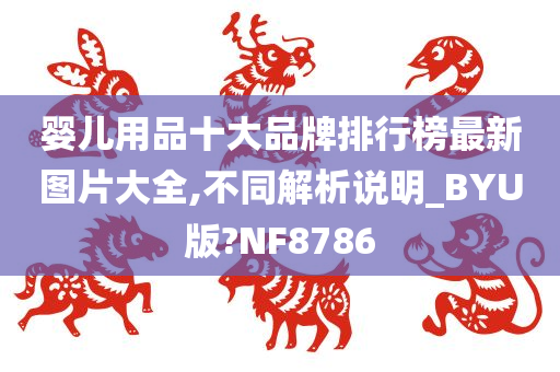 婴儿用品十大品牌排行榜最新图片大全,不同解析说明_BYU版?NF8786