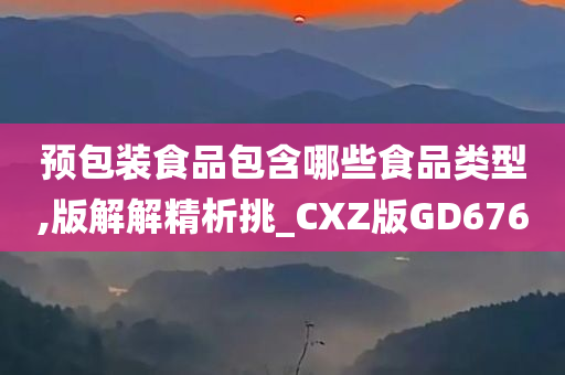 预包装食品包含哪些食品类型,版解解精析挑_CXZ版GD676