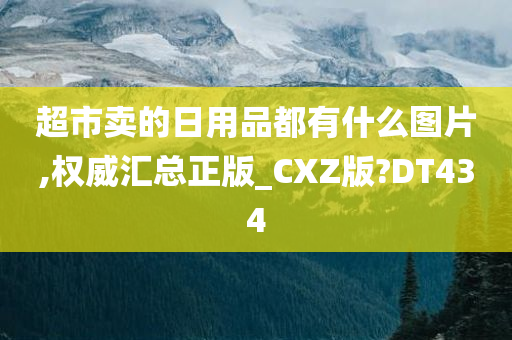 超市卖的日用品都有什么图片,权威汇总正版_CXZ版?DT434