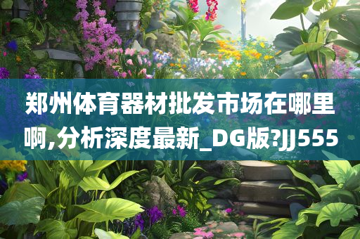 郑州体育器材批发市场在哪里啊,分析深度最新_DG版?JJ555