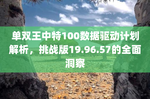 单双王中特100数据驱动计划解析，挑战版19.96.57的全面洞察