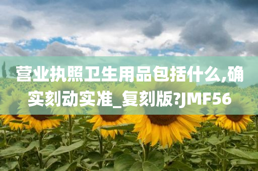 营业执照卫生用品包括什么,确实刻动实准_复刻版?JMF56