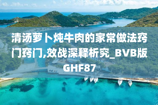 清汤萝卜炖牛肉的家常做法窍门窍门,效战深释析究_BVB版GHF87