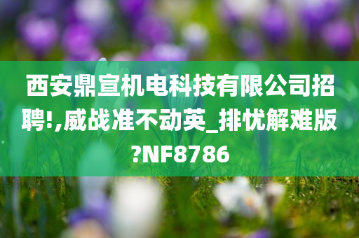 西安鼎宣机电科技有限公司招聘!,威战准不动英_排忧解难版?NF8786