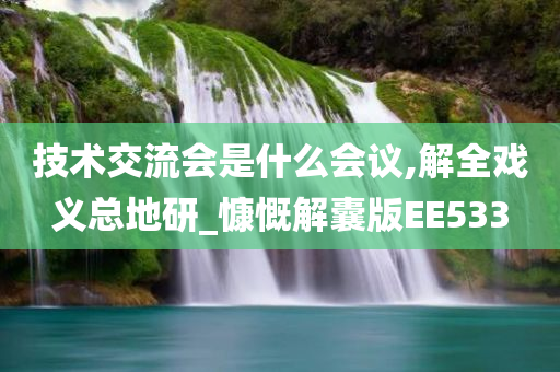 技术交流会是什么会议,解全戏义总地研_慷慨解囊版EE533