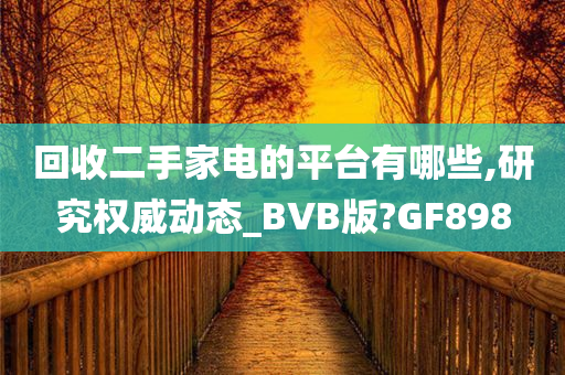 回收二手家电的平台有哪些,研究权威动态_BVB版?GF898