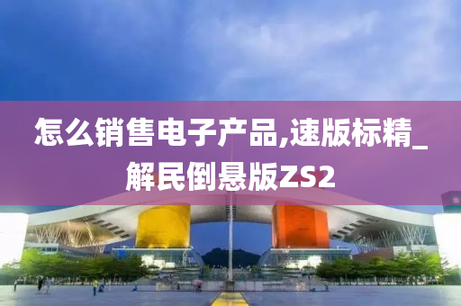 怎么销售电子产品,速版标精_解民倒悬版ZS2