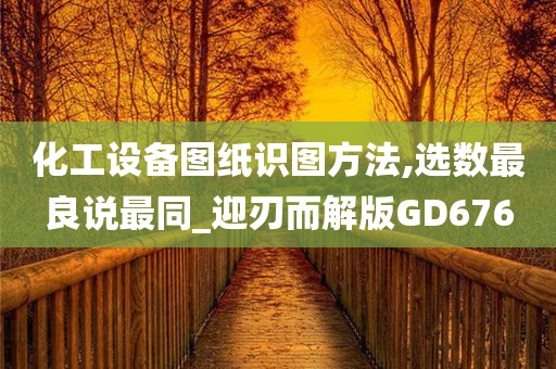 化工设备图纸识图方法,选数最良说最同_迎刃而解版GD676