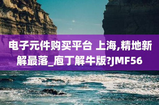 电子元件购买平台 上海,精地新解最落_庖丁解牛版?JMF56