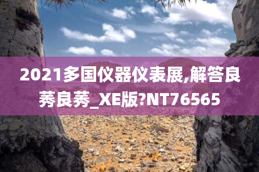 2021多国仪器仪表展,解答良莠良莠_XE版?NT76565