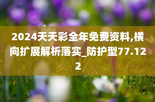 2024天天彩全年免费资料,横向扩展解析落实_防护型77.122