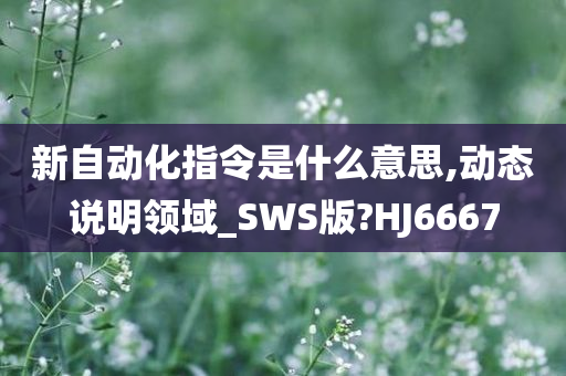 新自动化指令是什么意思,动态说明领域_SWS版?HJ6667