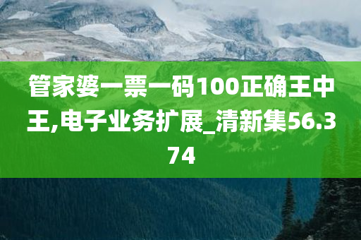 管家婆一票一码100正确王中王,电子业务扩展_清新集56.374