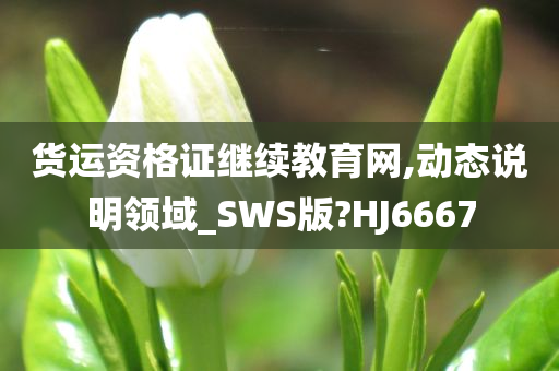 货运资格证继续教育网,动态说明领域_SWS版?HJ6667